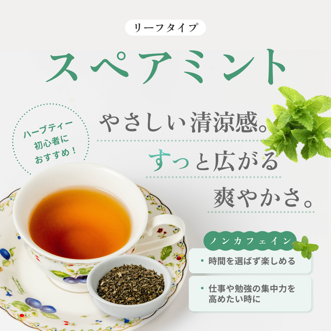 森のこかげのスペアミントティー
