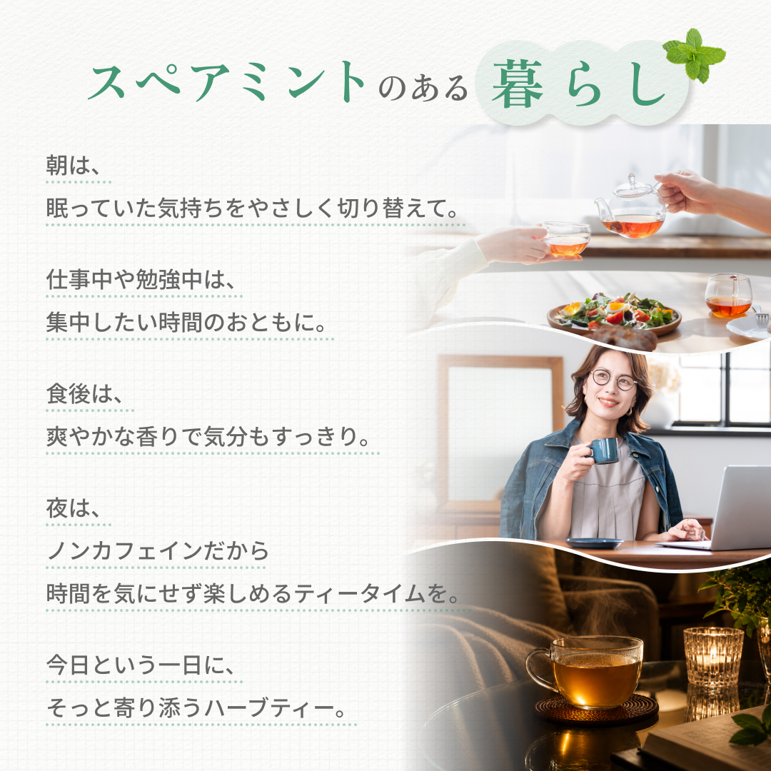 スペアミントのある暮らし