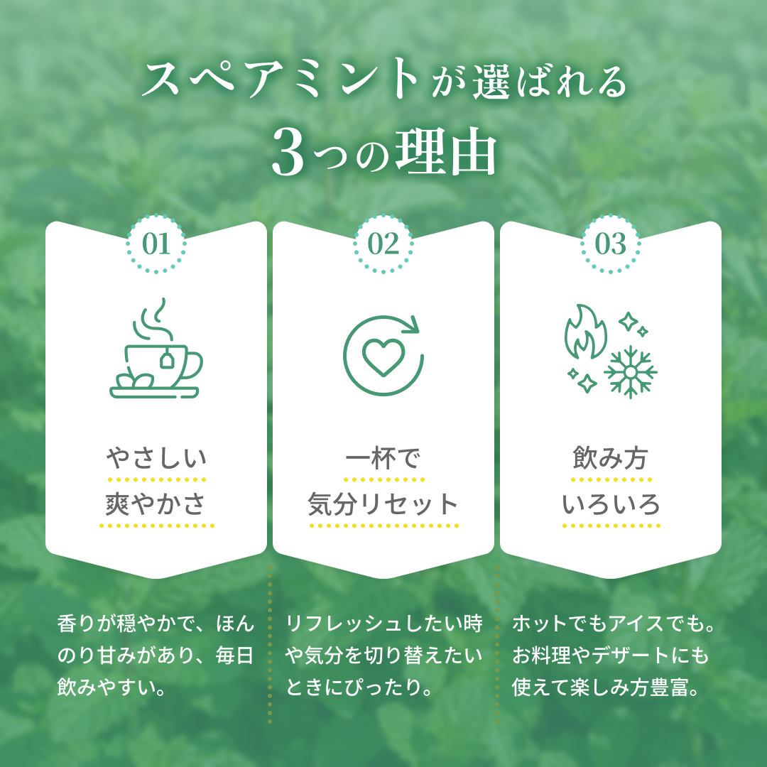 スペアミントが選ばれる3つの理由