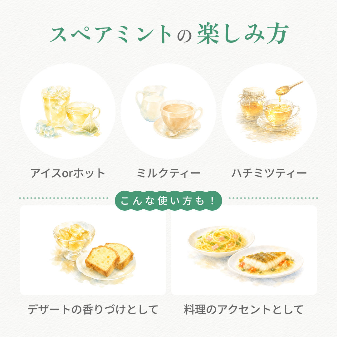 スペアミントの楽しみ方