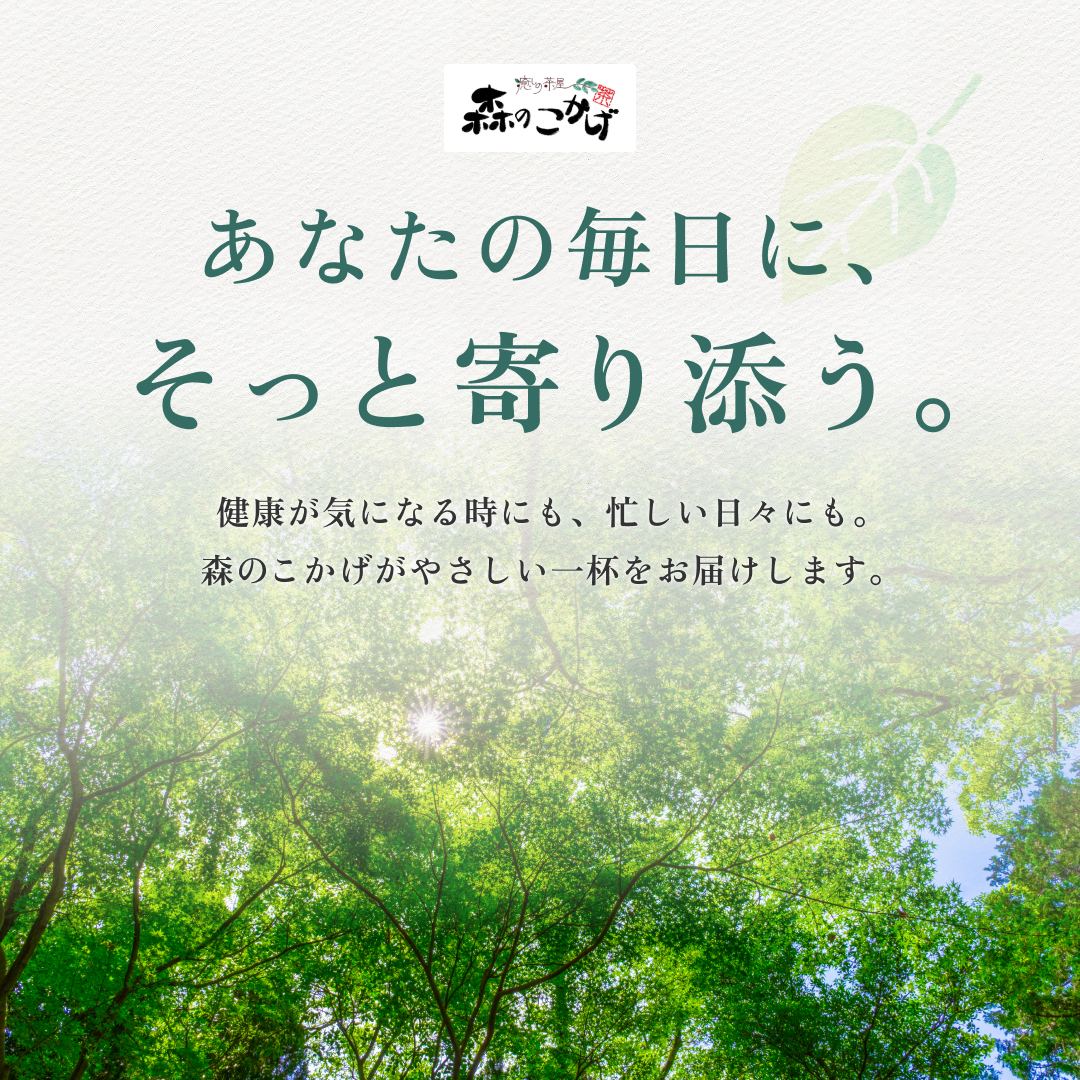 あなたの毎日にそっと寄り添う