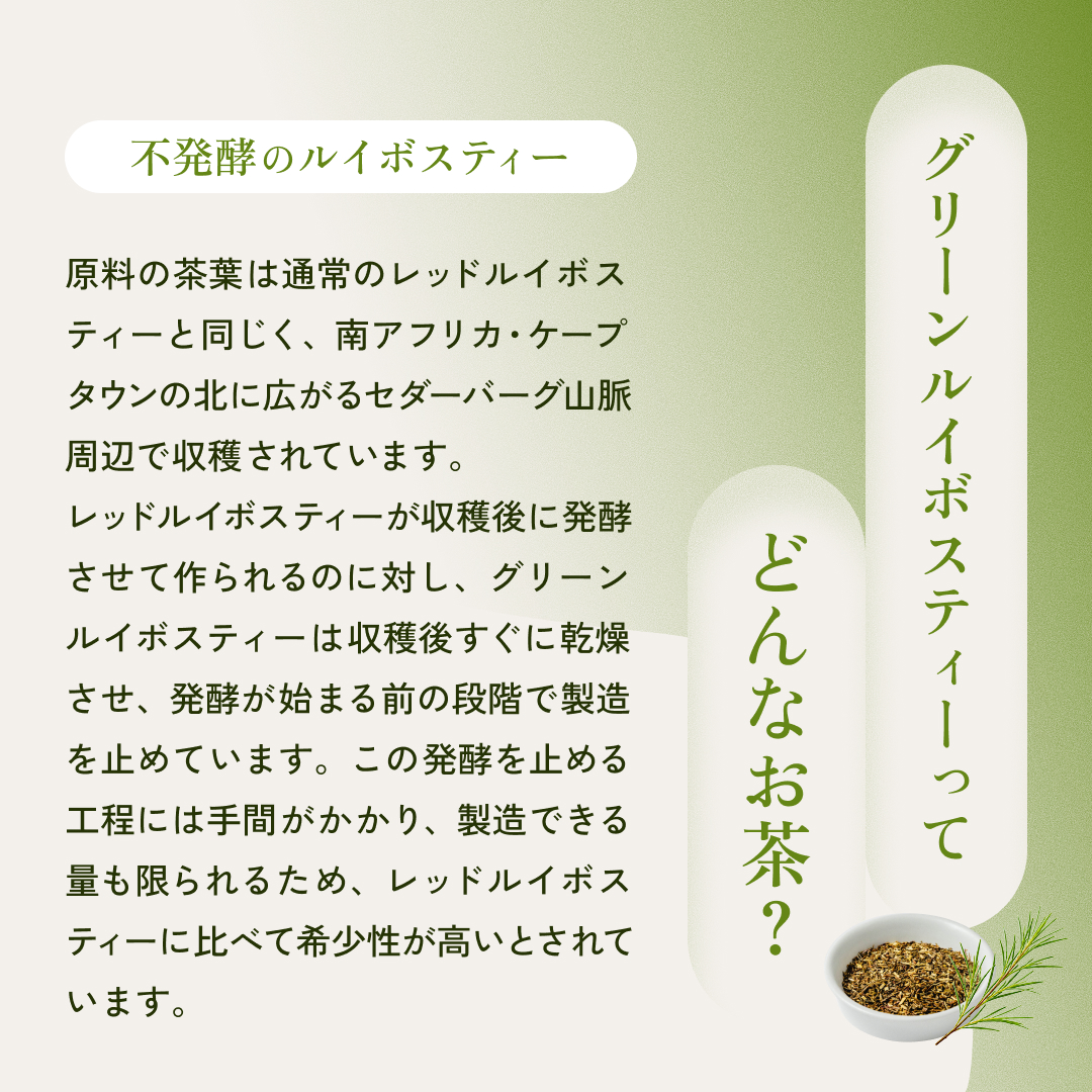 グリーンルイボスティーとは