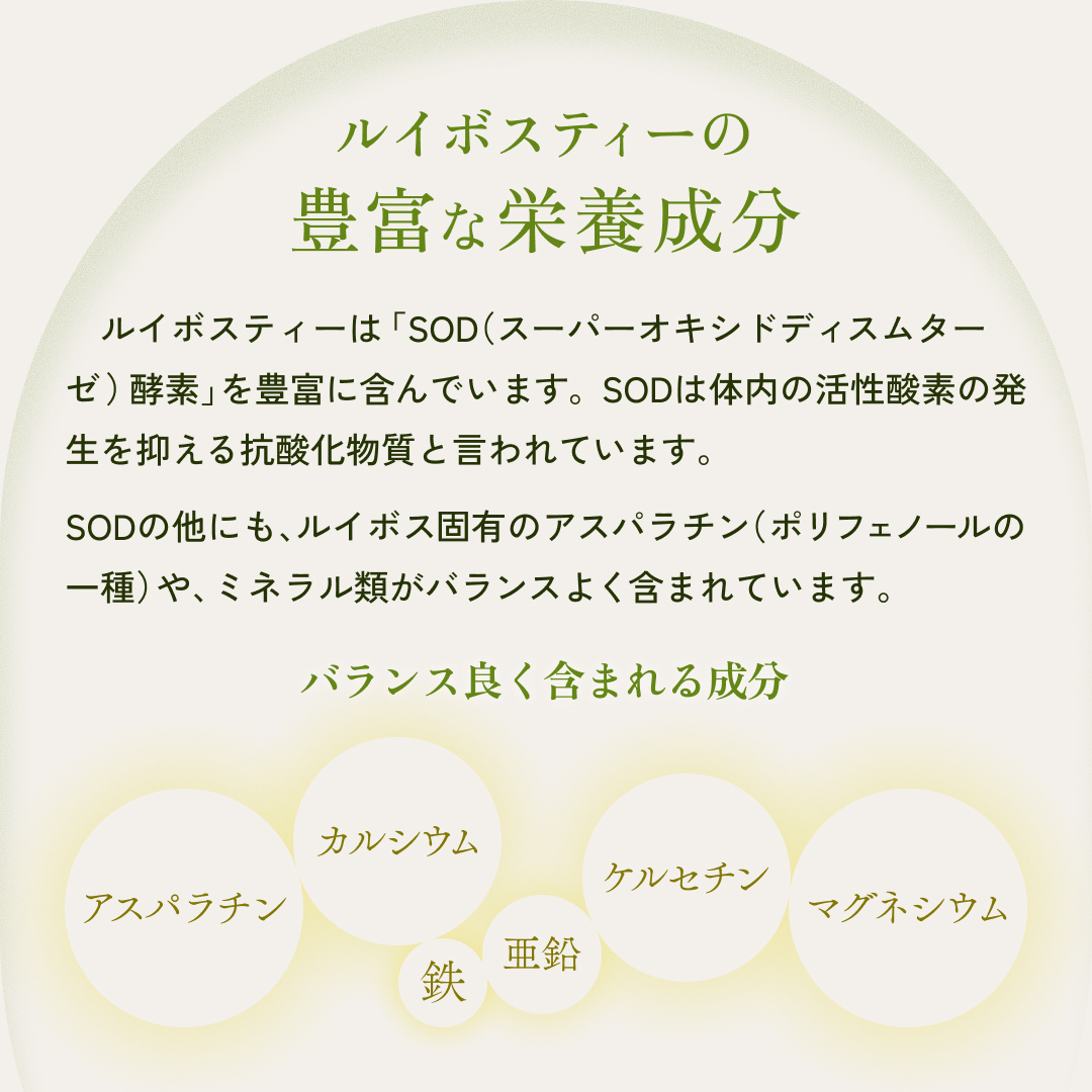 グリーンルイボスティーの豊富な栄養成分