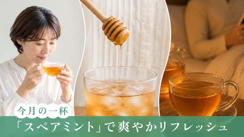 Vol.1今月の一杯「スペアミント」