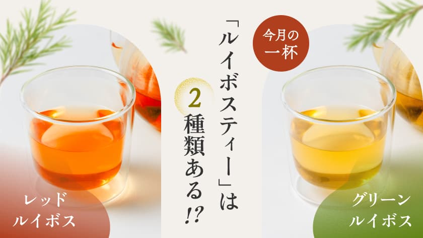 Vol.2 今月の一杯「ルイボスティー」