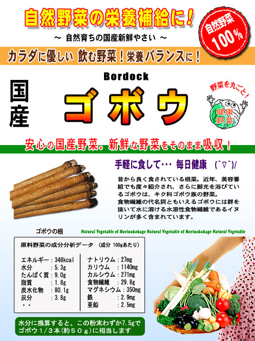 ゴボウ 粉末 100g 国産 A 熊本 宮崎県産 やさい パウダー 100％ 野菜ジュースの素  野菜 牛蒡 ごぼう 粉末茶 バードック パウダーティー  残留農薬検査済み 北海道 沖縄 離島も無料配送可 森のこかげ 健やかハウス 売筋粉 高価値セリー