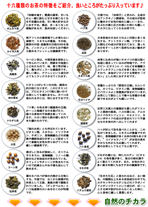 Z【送料無料】 ご家族の健康がぶ飲み 十六雑穀茶 “ 幸健茶 ” （10g×30p） 森のこかげ健やかハウス
