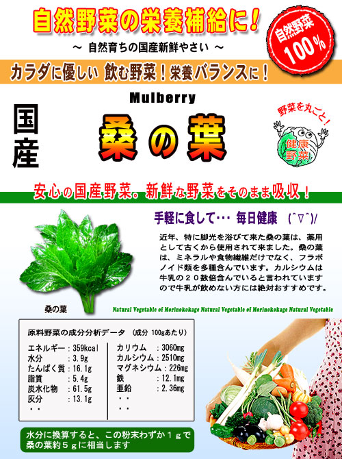 国産 桑の葉茶 (2g×80p) 熊本県産 ティーパック ≪桑葉茶 100％≫ 桑葉 くわの葉 くわ葉 茶 クワの葉 クワ葉 健康茶 くわちゃ ティーバッグ (残留農薬検査済み) 北海道 沖縄 離島も無料配送可  森のこかげ 健やかハウス 売れ筋
